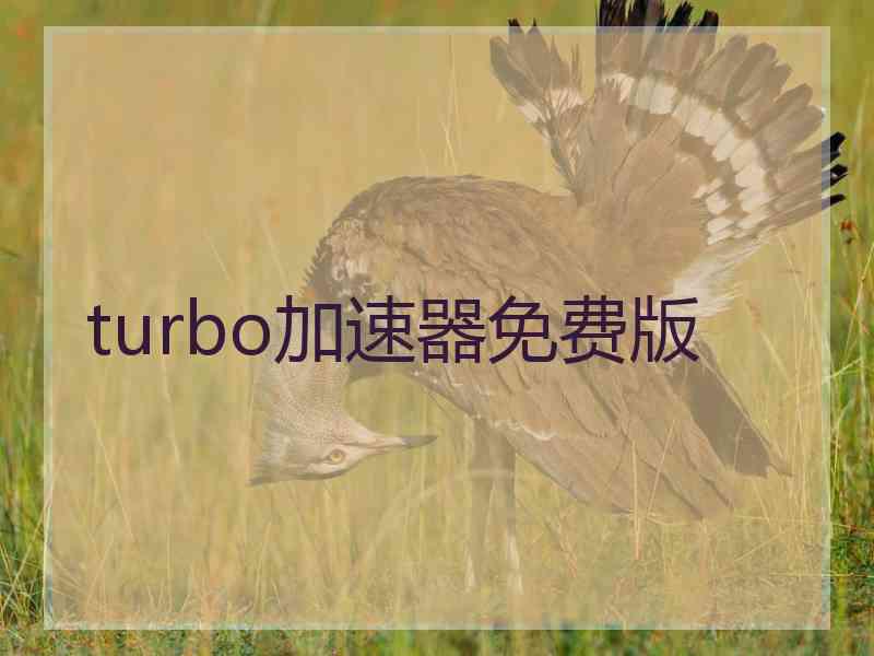 turbo加速器免费版