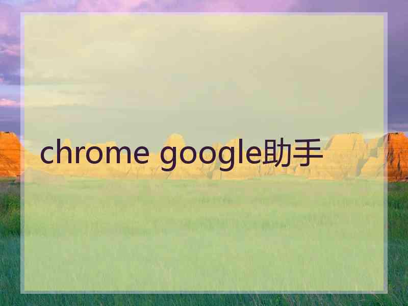 chrome google助手