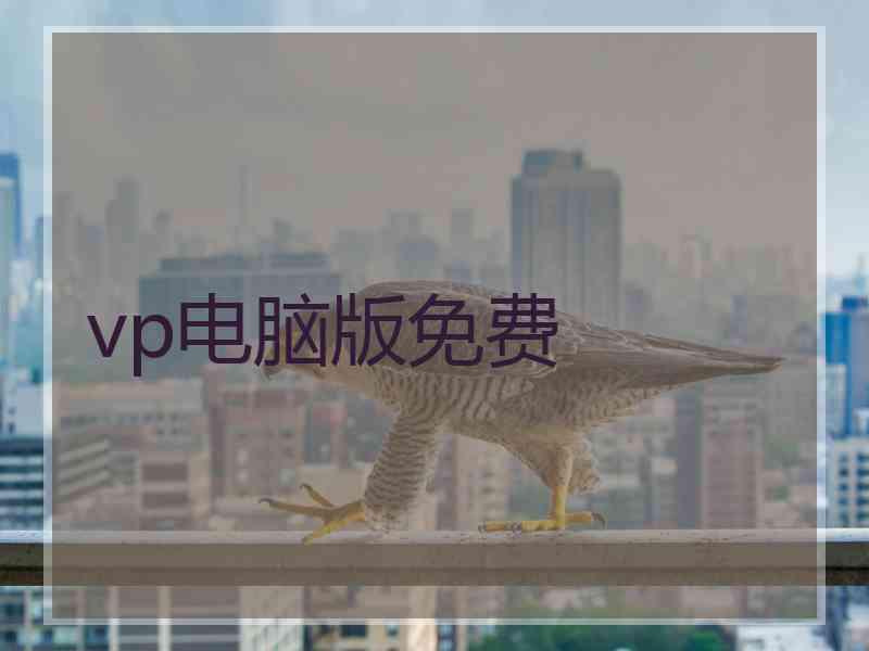 vp电脑版免费