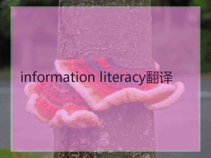 information literacy翻译