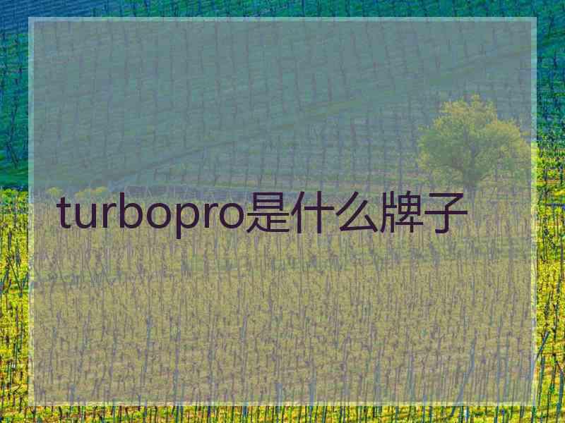 turbopro是什么牌子