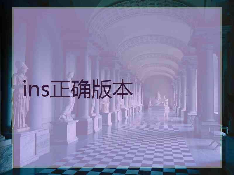 ins正确版本