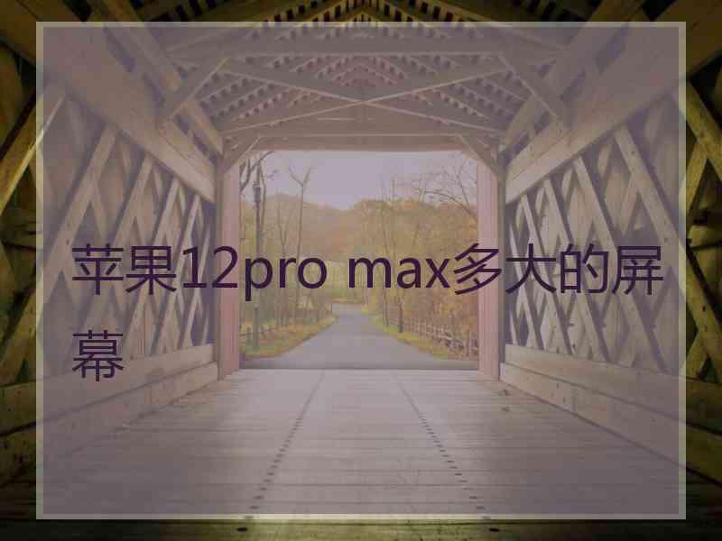 苹果12pro max多大的屏幕