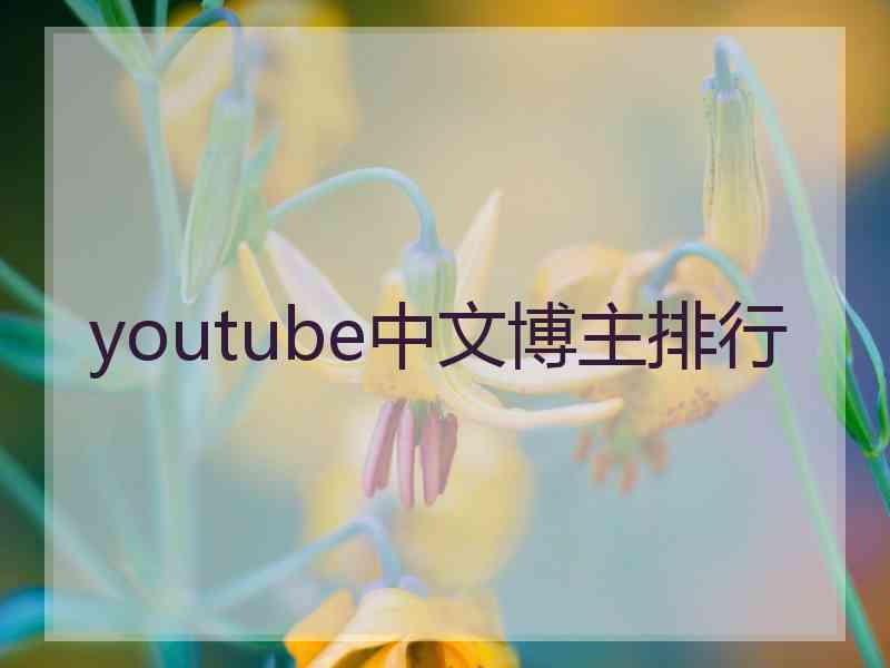 youtube中文博主排行