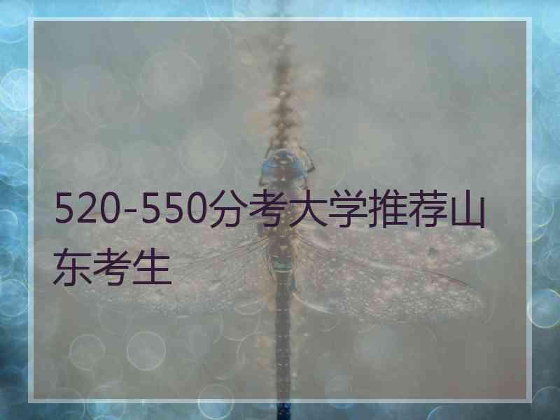 520-550分考大学推荐山东考生