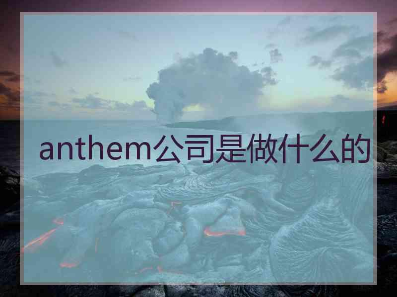 anthem公司是做什么的