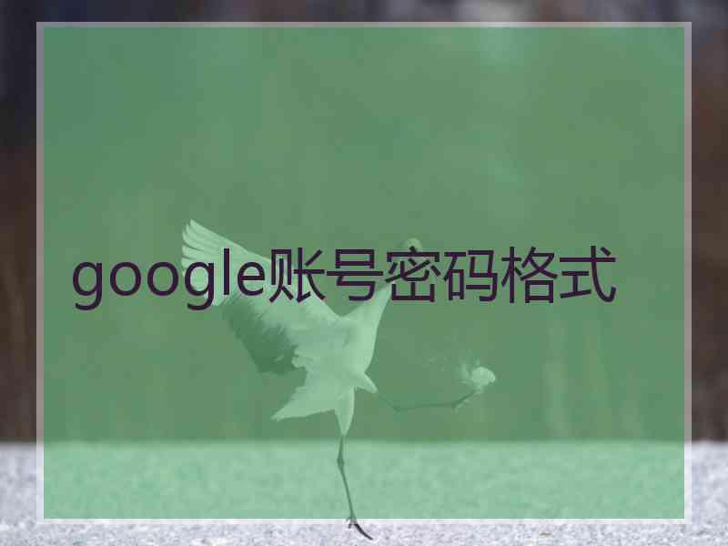 google账号密码格式