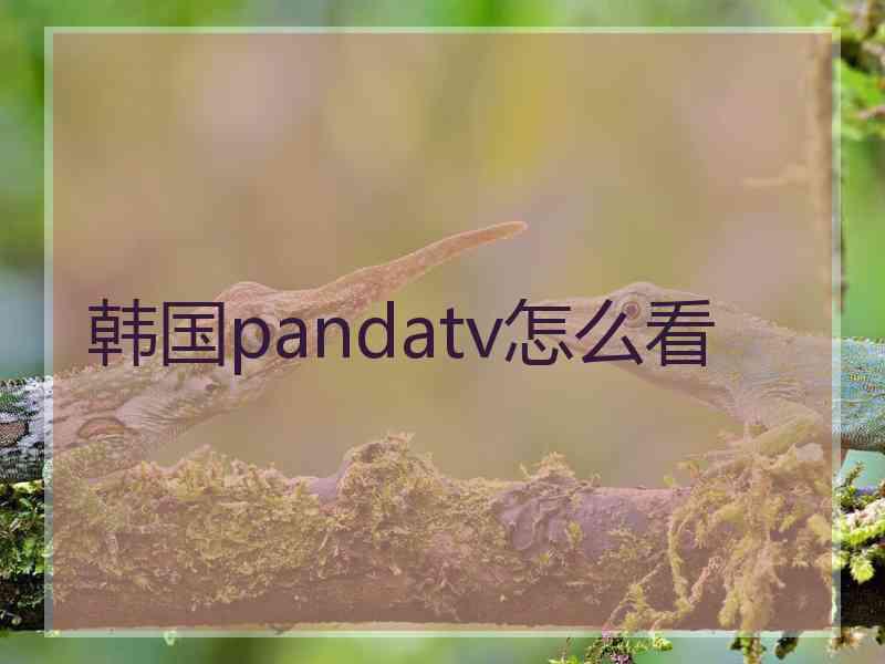 韩国pandatv怎么看