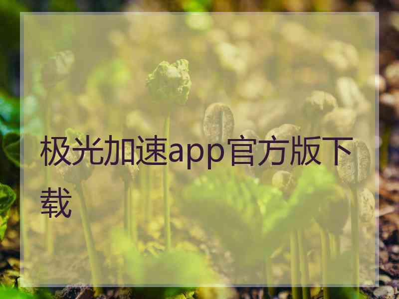 极光加速app官方版下载