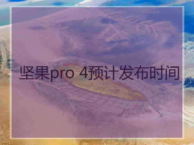 坚果pro 4预计发布时间