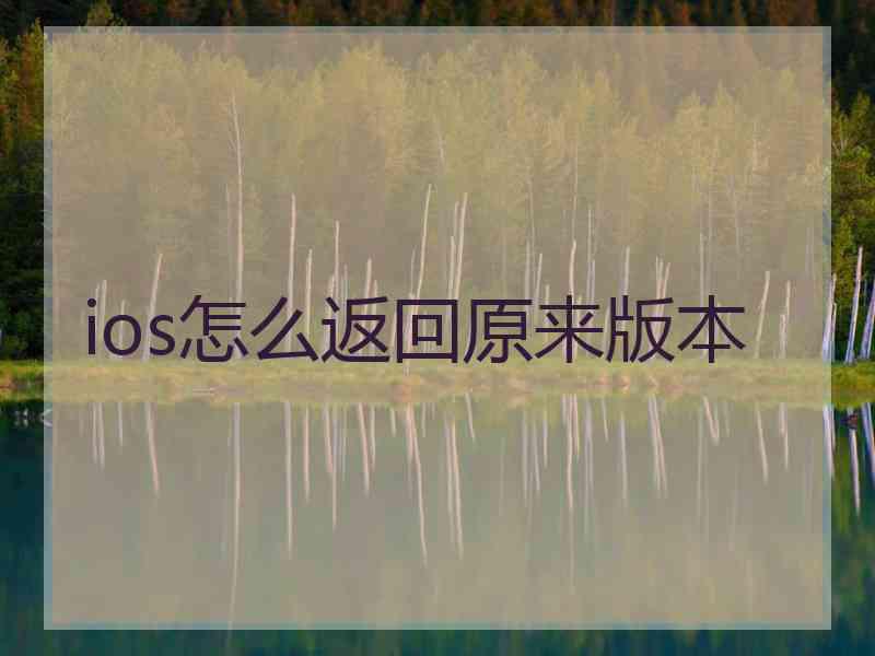 ios怎么返回原来版本