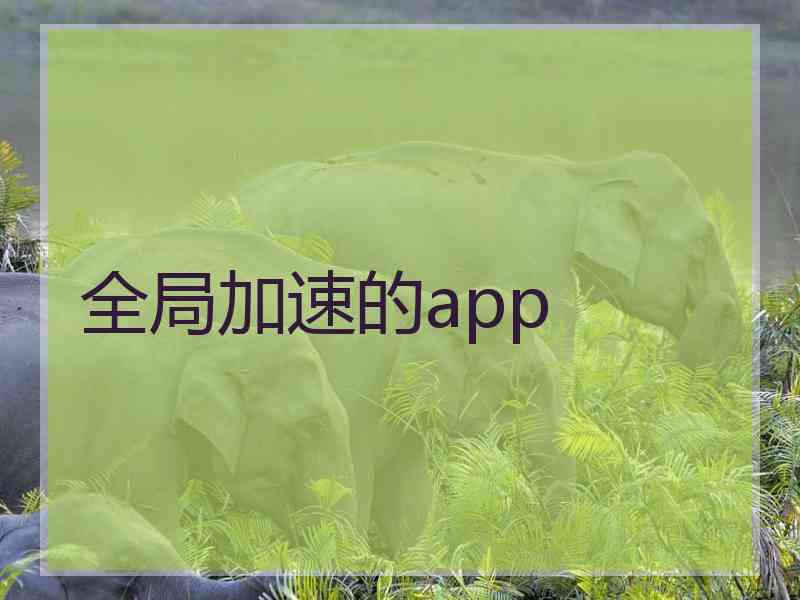 全局加速的app