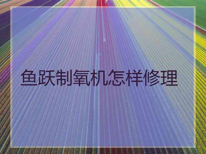 鱼跃制氧机怎样修理