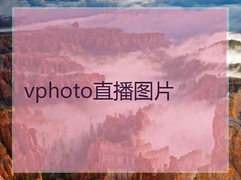 vphoto直播图片