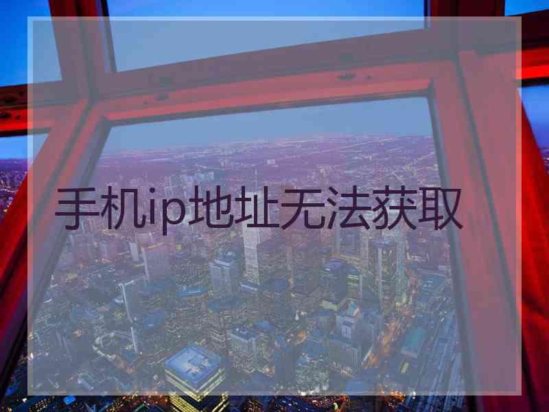 手机ip地址无法获取