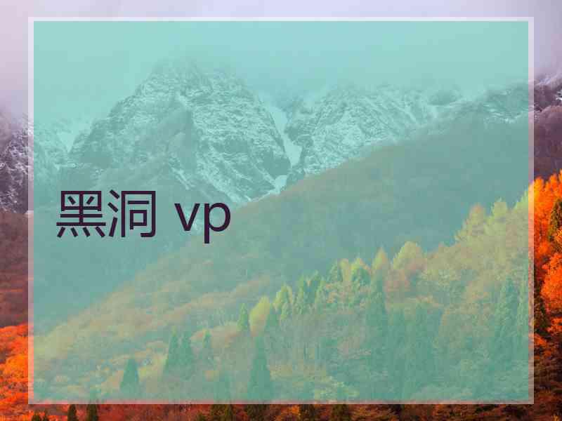 黑洞 vp