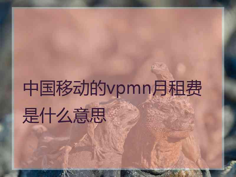 中国移动的vpmn月租费是什么意思