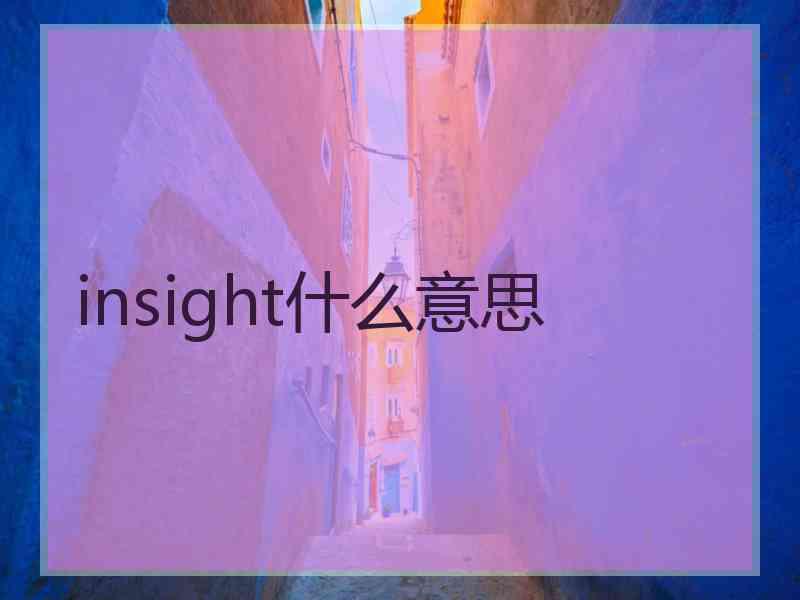 insight什么意思