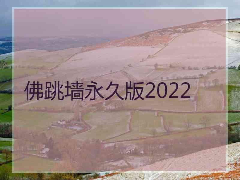 佛跳墙永久版2022