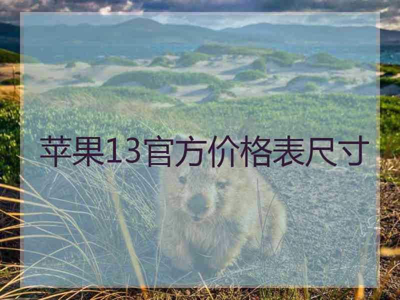 苹果13官方价格表尺寸