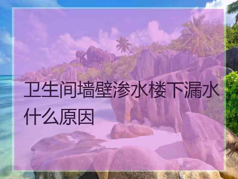 卫生间墙壁渗水楼下漏水什么原因