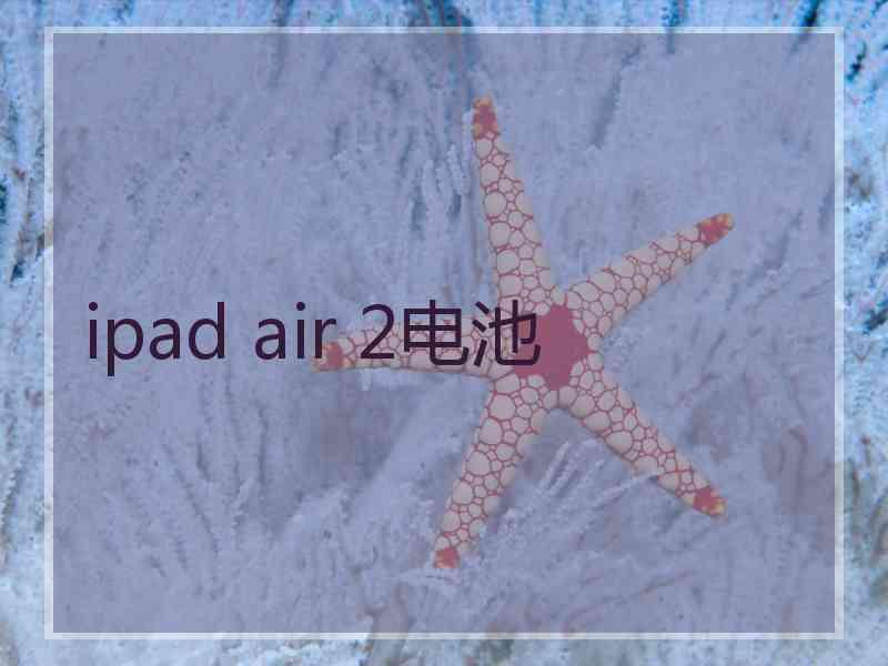 ipad air 2电池