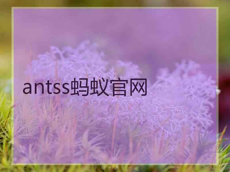 antss蚂蚁官网