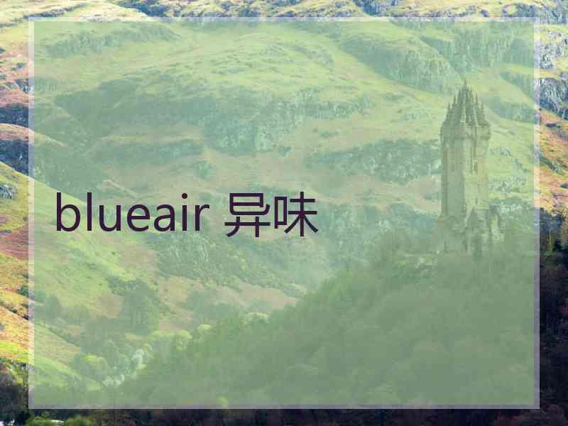 blueair 异味