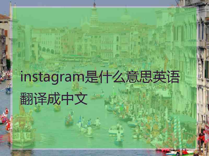 instagram是什么意思英语翻译成中文