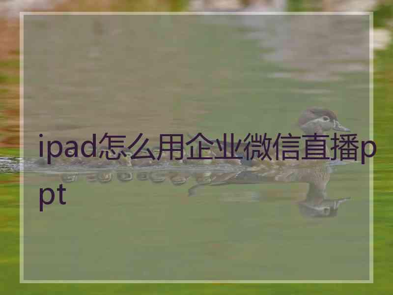 ipad怎么用企业微信直播ppt