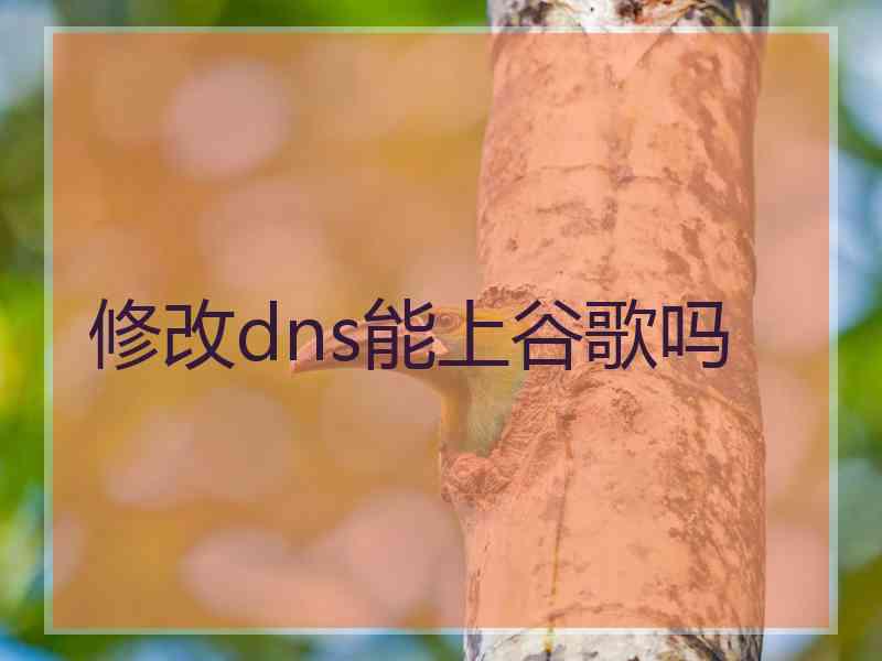 修改dns能上谷歌吗