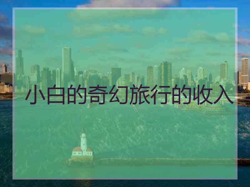 小白的奇幻旅行的收入