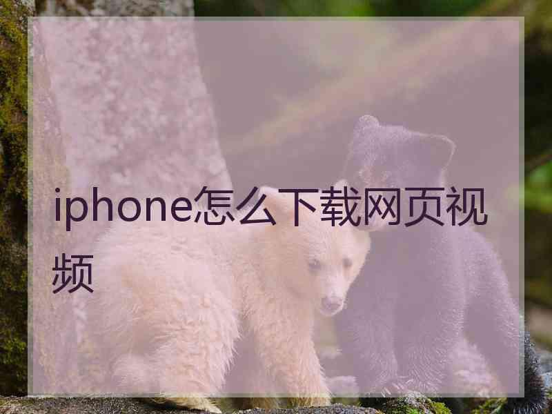 iphone怎么下载网页视频