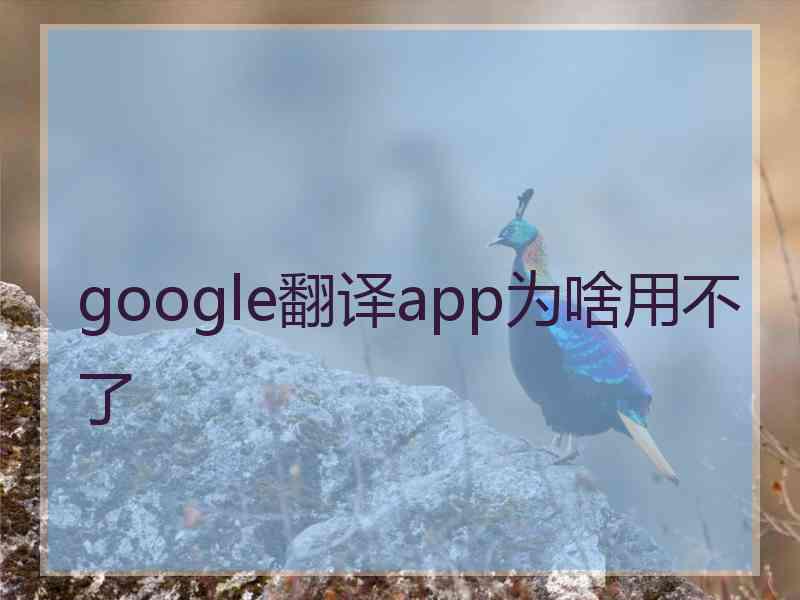 google翻译app为啥用不了