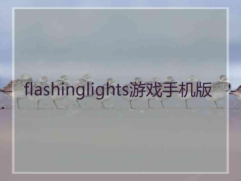 flashinglights游戏手机版