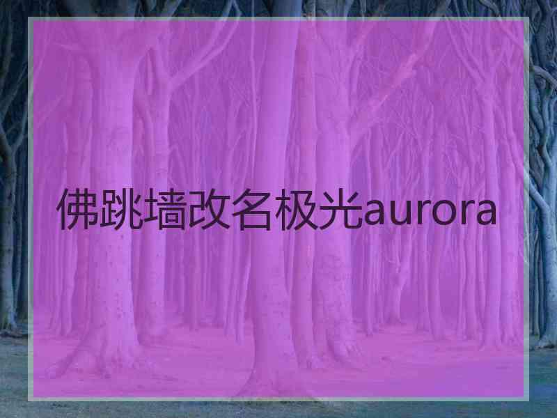 佛跳墙改名极光aurora