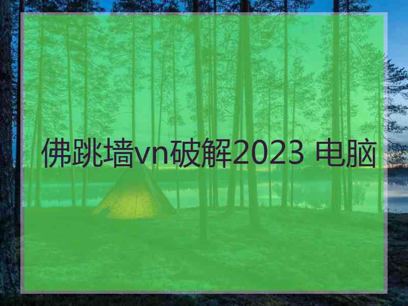 佛跳墙vn破解2023 电脑