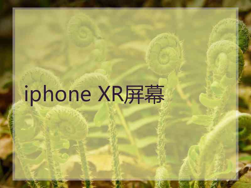 iphone XR屏幕