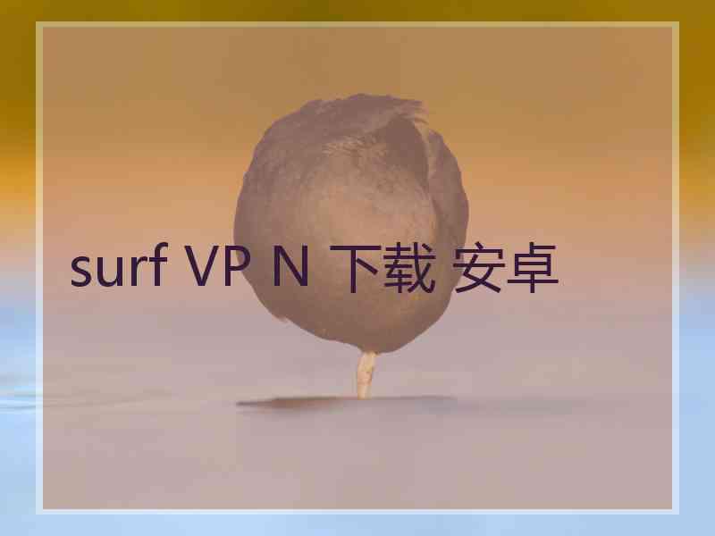 surf VP N 下载 安卓