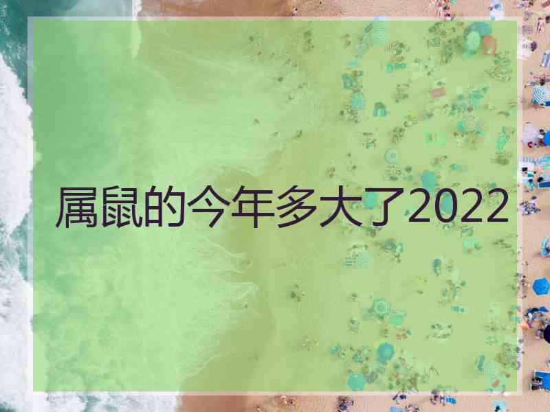 属鼠的今年多大了2022