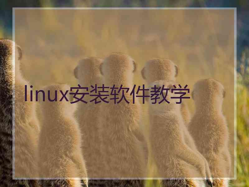 linux安装软件教学