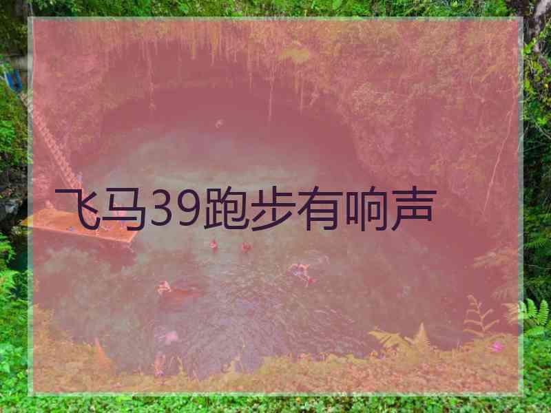 飞马39跑步有响声