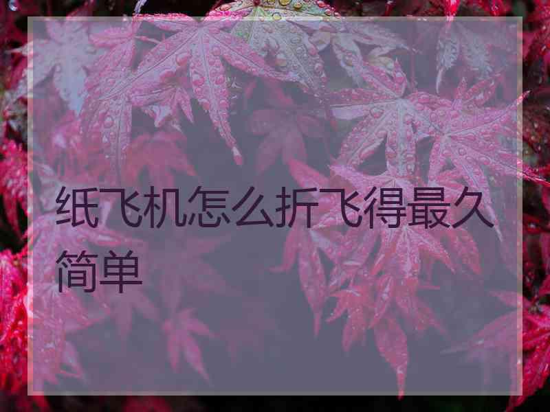 纸飞机怎么折飞得最久简单