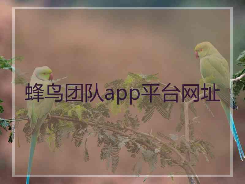 蜂鸟团队app平台网址