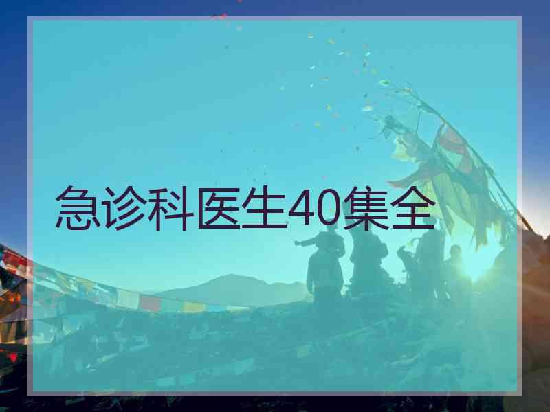 急诊科医生40集全