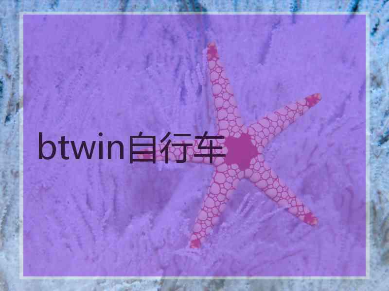 btwin自行车