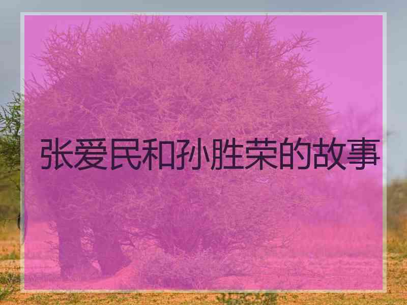 张爱民和孙胜荣的故事