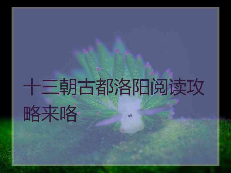 十三朝古都洛阳阅读攻略来咯