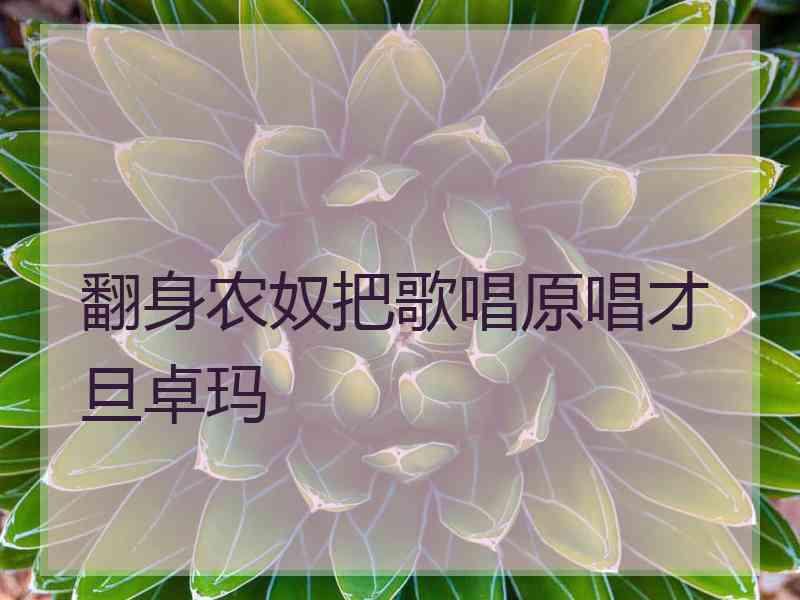 翻身农奴把歌唱原唱才旦卓玛