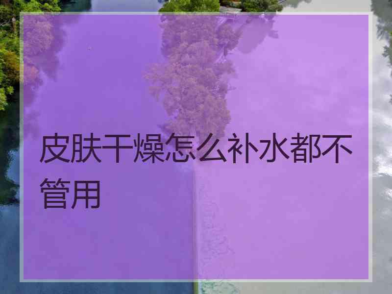 皮肤干燥怎么补水都不管用